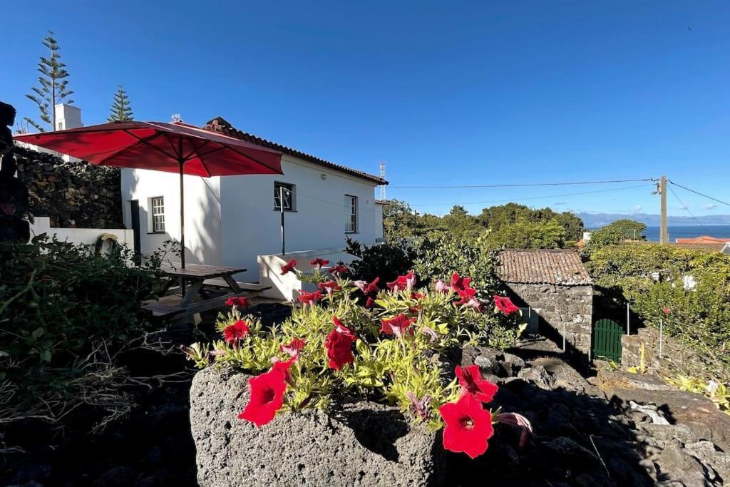 Willa Casa Da Latada São Roque do Pico Zewnętrze zdjęcie