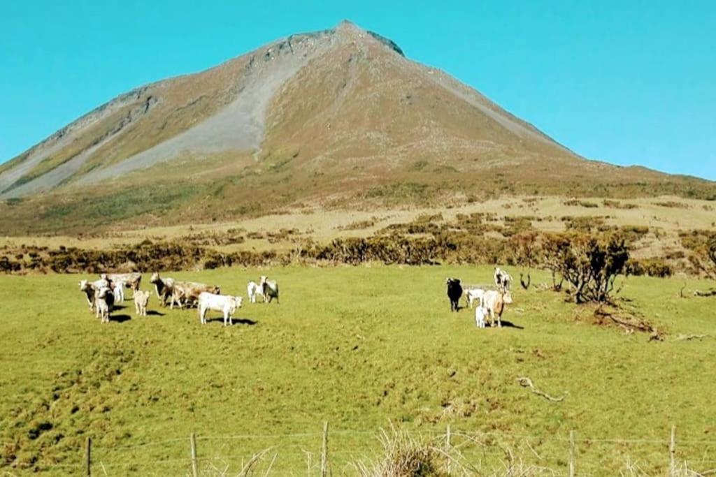 Willa Casa Da Latada São Roque do Pico Zewnętrze zdjęcie